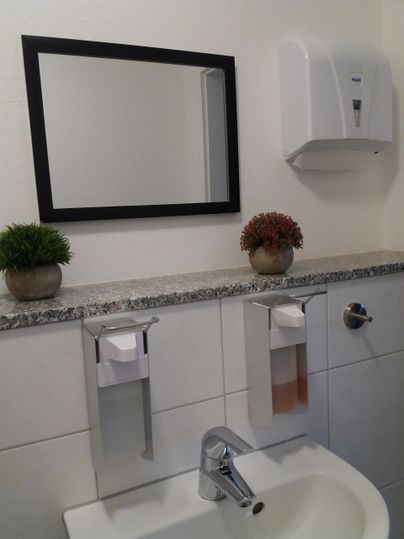 Ein modernes Badezimmer mit einem Waschbecken, einem Spiegel und Seifenspendern. Auf der Ablage stehen zwei Pflanzen.