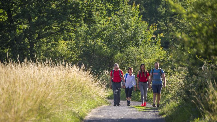 Eine Familie geht auf einem schmalen Weg durch eine grüne Landschaft. Umgeben von Bäumen und hohem Gras genießen sie die Natur.
