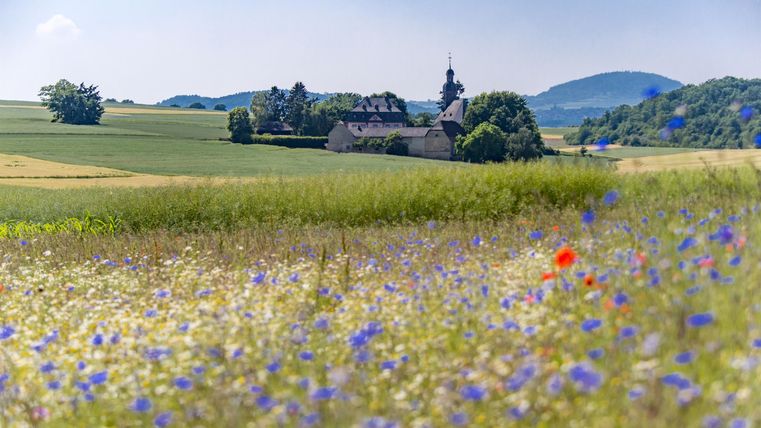 A picturesque field with colorful flowers and gentle hills in the background. A small church is visible in the distance.