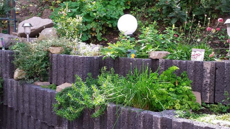 Ein grüner Garten mit verschiedenen Kräutern und Pflanzen in einer Steinmauer. Im Hintergrund sind einige schöne Details wie eine Kugellampe und bunte Blumen zu sehen.