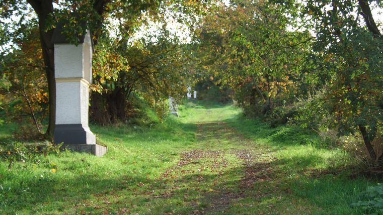 Ein ruhiger Weg zwischen Bäumen, umgeben von grünem Gras. Am Wegesrand sind einige Stelen sichtbar.