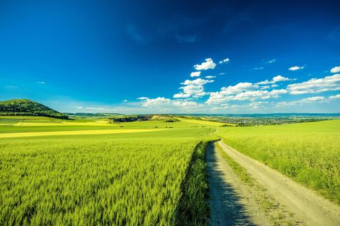Eine grüne Landschaft mit einem schmalen Weg, der durch das Feld führt. Der Himmel ist klar und blau mit wenigen Wolken.