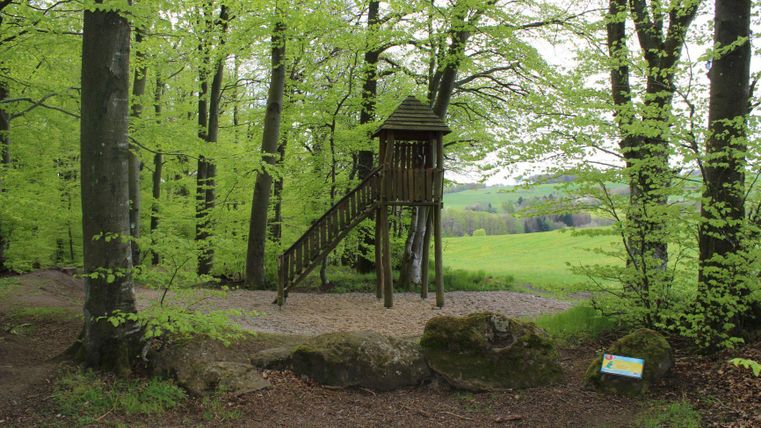 Ein Spielplatz im Wald mit einem Holzhaus und einer Rutsche. Umgeben von frischem, grünem Laub und der Natur.