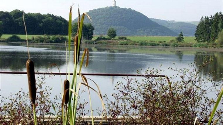 Ein ruhiger See mit Schilfrohr im Vordergrund und sanften Hügeln im Hintergrund. Auf dem Hügel steht ein Aussichtsturm.