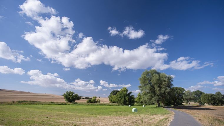 A clear meadow with trees and a paved path. The sky is blue with some white clouds.