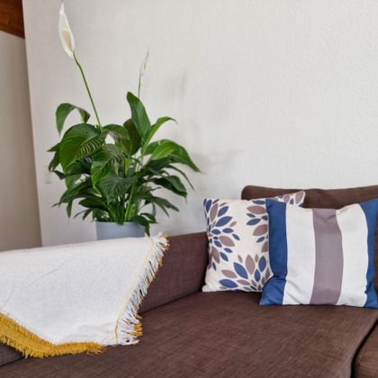 Ein gemütliches Wohnzimmer mit einem braunen Sofa und dekorativen Kissen. Eine grüne Pflanze steht in einem Topf neben dem Sofa.