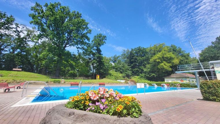A refreshing pool surrounded by green trees and colorful flowers. The sky is clear and blue, perfect for a relaxed day outdoors.