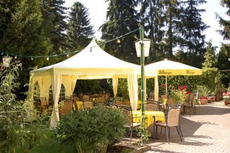 Ein gemütlicher Außenbereich mit gelben Zelten und Stühlen. Der Garten ist umgeben von hohen Bäumen und bunten Blumen.