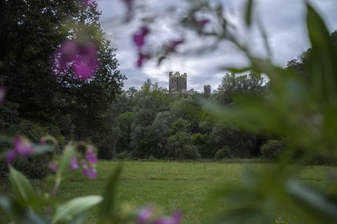 Eine alte Burg im Hintergrund, umgeben von grünen Bäumen und einer Wiese. Im Vordergrund sind bunte Blumen sichtbar.