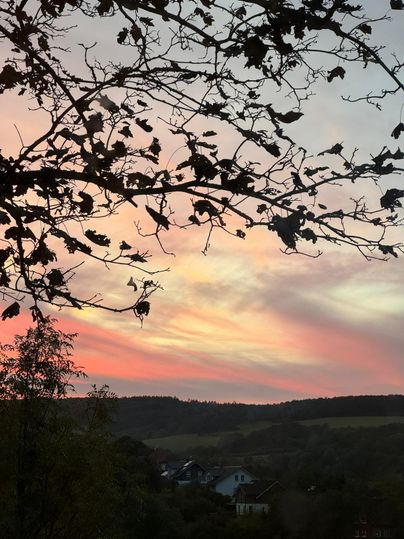 Ein schöner Sonnenuntergang mit sanften pastellfarbenen Wolken. Die Silhouette von Ästen rahmt die Szene ein.