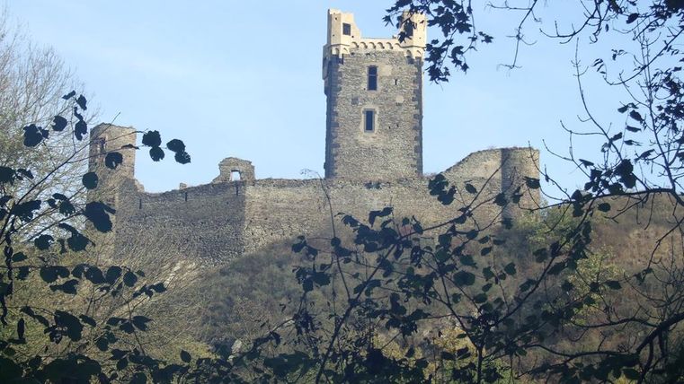 An old castle ruin on a hill, surrounded by trees. The sky is blue and clear.