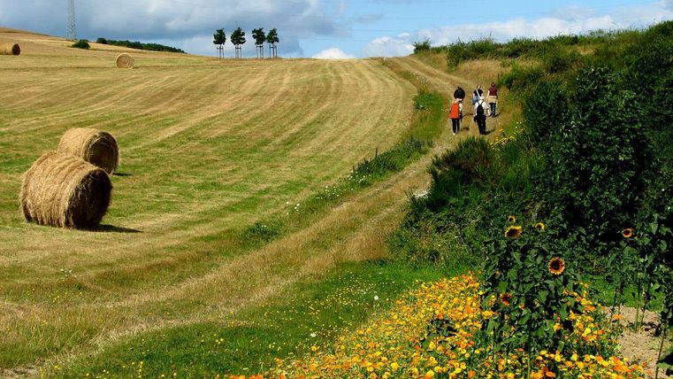 A picturesque landscape with ripe fields and hay bales. In the background, people are walking along a path lined with colorful flowers.