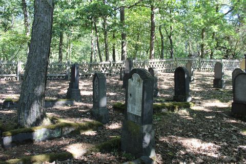 A quiet cemetery surrounded by trees. The gravestones are partially covered with moss and exude a peaceful atmosphere.