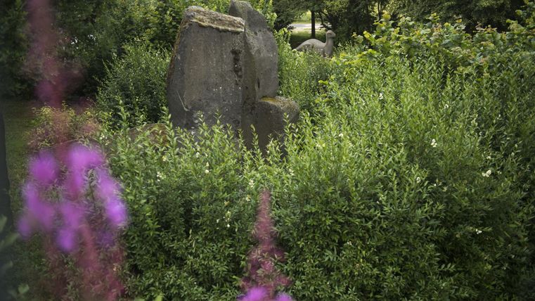 Ein ruhiger Garten mit grünen Pflanzen und großen Steinen. Im Vordergrund blühen pinkfarbene Blumen.