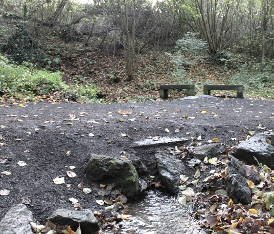 Kleine Quelle im Nettepark, &copy; VG Pellenz, Annika Chagas da Silva