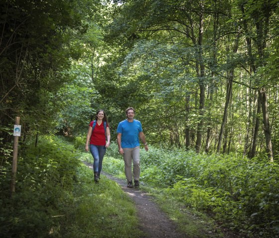 Zwei Personen wandern auf einem schmalen Pfad durch einen dichten, gr&uuml;nen Wald. Sie tragen Freizeitkleidung und wirken entspannt., &copy; kappest_remet