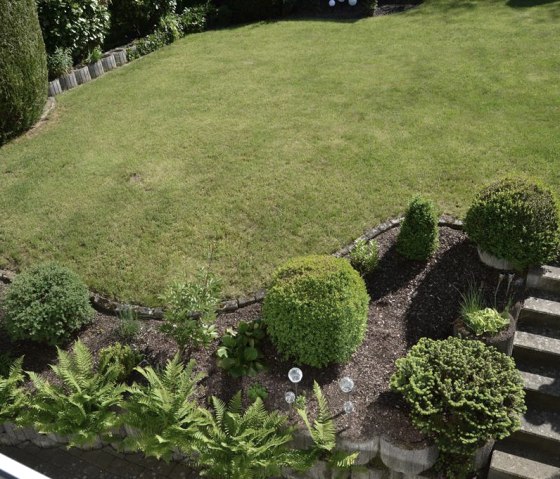 Garten 1