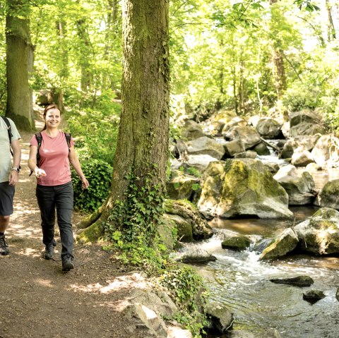 Wandern durch den Rauscherpark, © Eifel Tourismus GmbH/Dominik Ketz