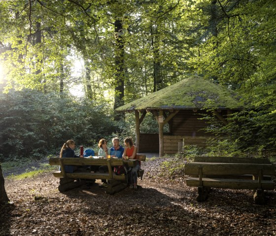 Vier Wanderer sitzen an einem Holztisch im Wald, nahe einer Moosdachh&uuml;tte, w&auml;hrend die Sonne durch die B&auml;ume scheint., &copy; Kappest_REMET