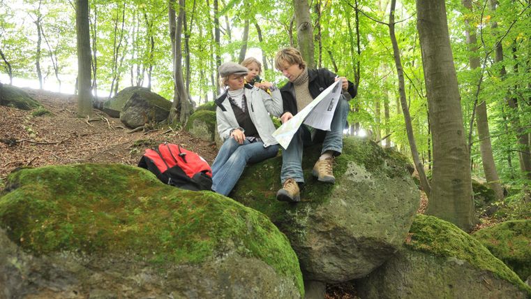 Zwei Personen sitzen auf einem großen Stein im Wald und betrachten eine Karte. Die Umgebung ist grün und sonnig, mit vielen Bäumen.