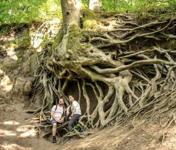 Fairytale hiking rest in the Wolfsschlucht gorge, Traumpfad cave and gorge trail, &copy; Eifel Tourismus GmbH, Dominik Ketz