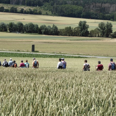Wandelen met de burgemeester, © G. Hanemann