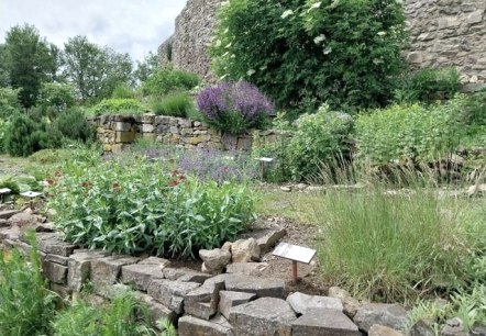 Burg Olbr&uuml;ck, &copy; Johanna Schwarm