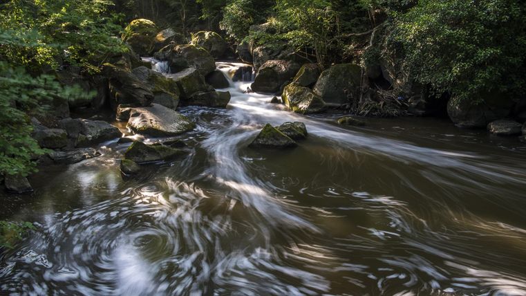 Ein ruhiger Fluss fließt durch eine grüne Landschaft mit Felsen. Die Wasseroberfläche zeigt sanfte Wellen und Lichtreflexe.