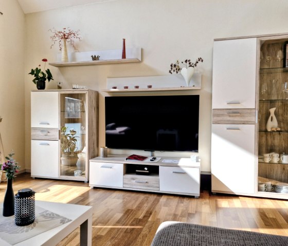 Fernseher, &copy; Silvia Lanser