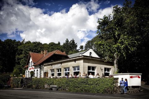 Ein einladendes Restaurant umgeben von Bäumen und Sträuchern. Es gibt mehrere Gäste, die im Freien sitzen.