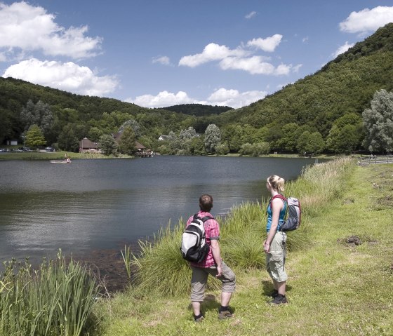 Waldseepfad Rieden - View of the forest lake, &copy; Traumpfade