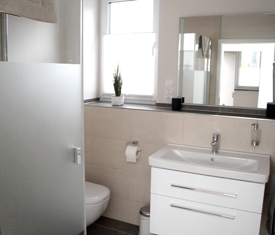 Pellenzblick badkamer begane grond