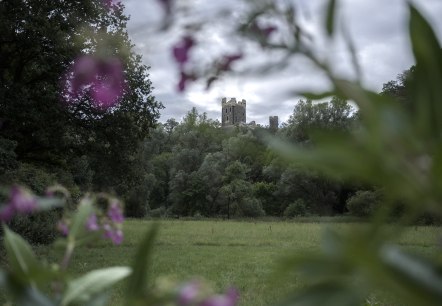 Wernerseck castle ruins in the Nettetal valley, © VG Pellenz/Klaus Peter Kappest