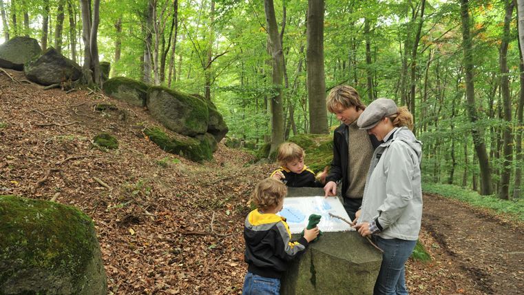 Eine Familie steht im Wald und schaut auf eine Karte. Die Umgebung ist grün mit Bäumen und Felsen.