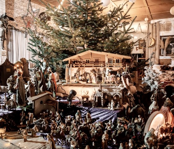 Bild 3, © Anica Fotografie