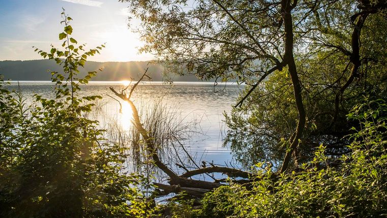 A tranquil lake surrounded by trees and bushes. The sun gently shines on the water's surface, creating a peaceful atmosphere.