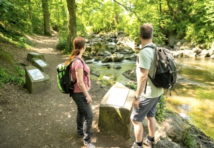 Rauscherpark, &copy; Eifel Tourismus GmbH/Dominik Ketz