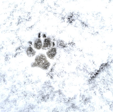 Adventsabenteuer 2, &copy; Maren D&ouml;nhoff