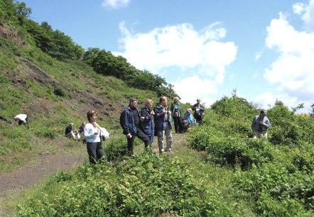 Wanderer am Bausenberg, © TI Vulkanregion Laacher See