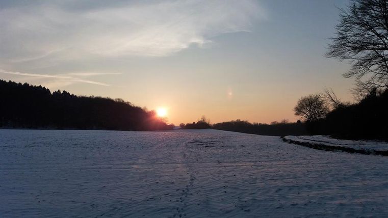 Ein verschneites Feld bei Sonnenuntergang. Der Himmel ist klar mit sanften Farben.