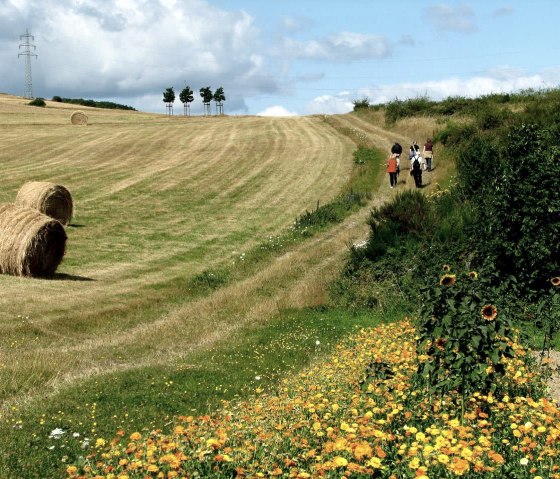 Vinxtbachtal, &copy; TI Vulkanregion Laacher See