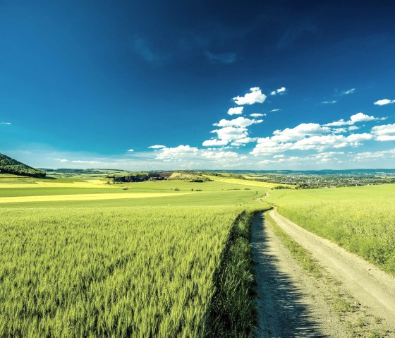 Pellenz, &copy; Vulkanregion / Kappest
