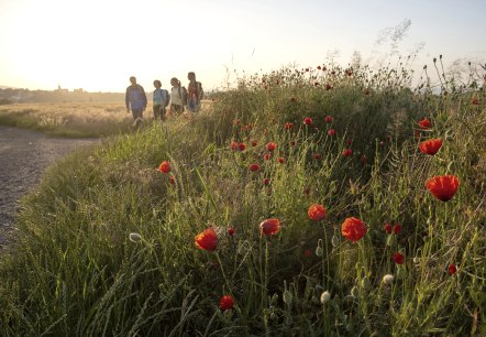 Geocache-Abstecher - Laachus angelt in Obermendig 3, &copy; Rhein-Mosel-Eifel-Touristik/Klaus-Peter Kappest