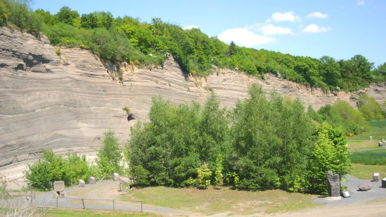 Ein schmaler Waldstreifen steht gegen eine steile Felswand. Der Himmel ist klar und sonnig.
