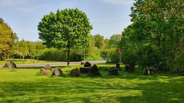 A green meadow with a large tree and several stones. In the background, there are trees and a road visible.