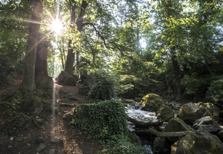 Rauscherpark, &copy; Kappest/Vulkanregion Laacher See