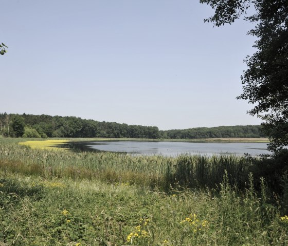 Idyllisches Rodder Maar, &copy; Michael Hartusch