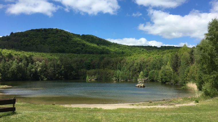 Eine weite Wiesenlandschaft mit sanften Hügeln und einem Aussichtsturm auf dem Hügel in der Ferne. Der Himmel ist klar und blau, was für eine ruhige Atmosphäre sorgt.