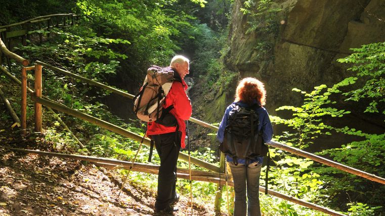 Ein Paar Wanderer steht am Rand eines Waldes und schaut in eine Schlucht. Die Sonne scheint durch die Bäume und schafft eine ruhige Atmosphäre.
