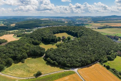 Eine Luftaufnahme eines bewaldeten Hügels umgeben von Feldern und Wiesen. Der Himmel ist klar mit einigen Wolken.